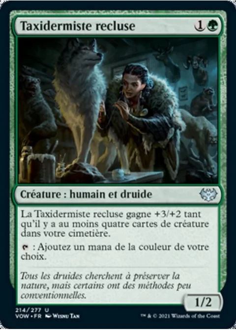 Taxidermiste recluse