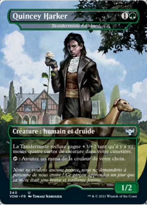 Taxidermiste recluse