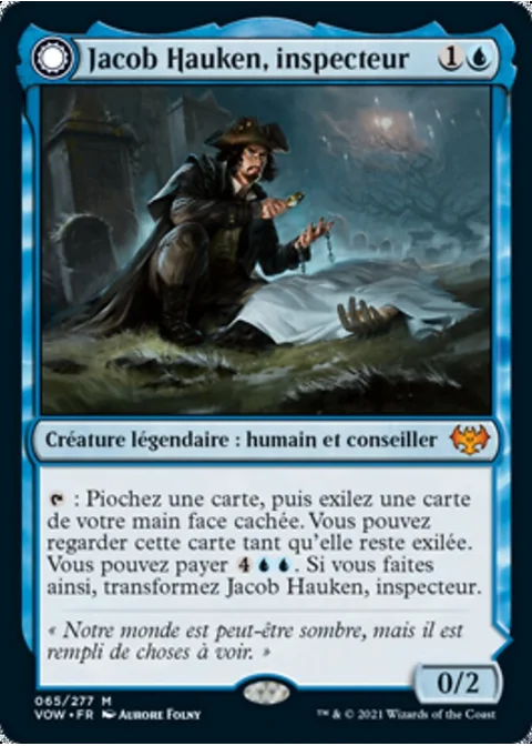 Jacob Hauken, inspecteur