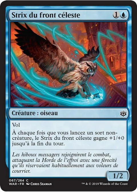 Strix du front céleste