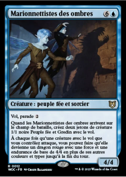 Marionnettistes des ombres