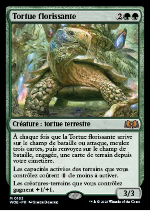 Tortue florissante