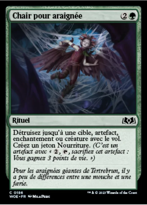 Chair pour araignée