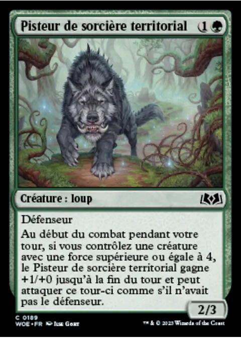 Pisteur de sorcière territorial