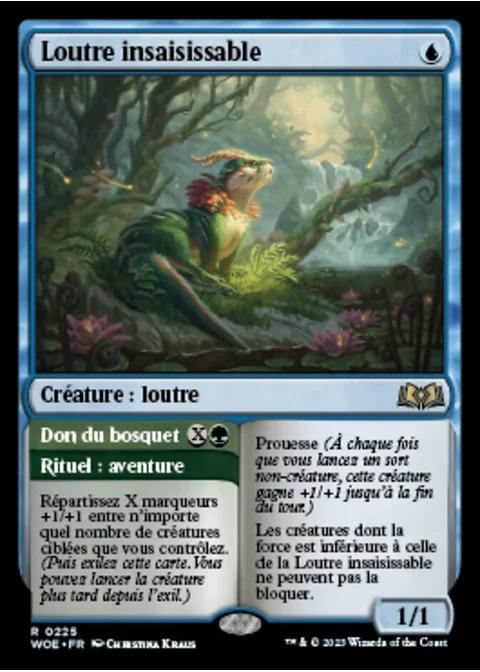 Loutre insaisissable