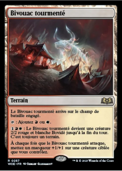 Bivouac tourmenté