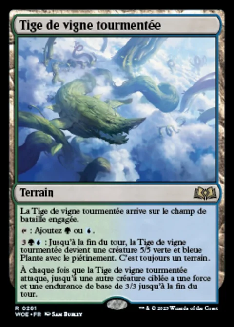 Tige de vigne tourmentée