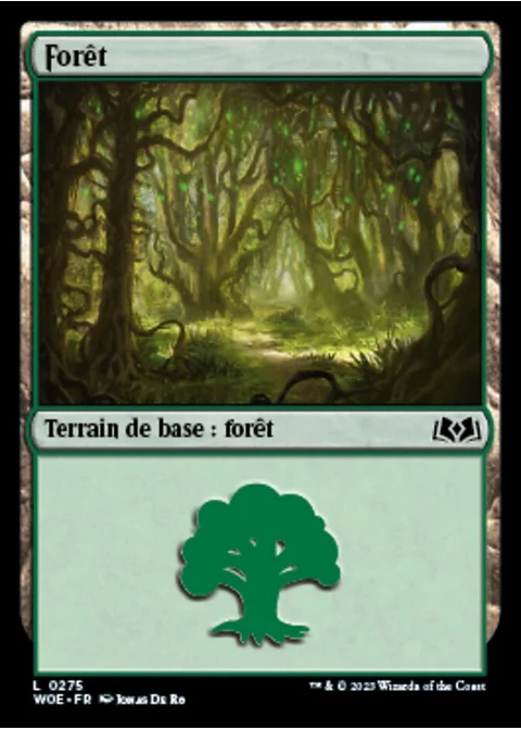 Forêt