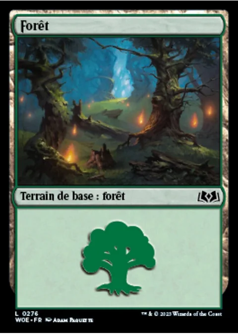 Forêt