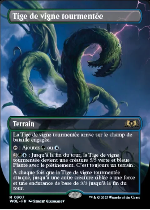 Tige de vigne tourmentée