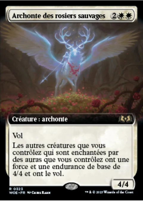 Archonte des rosiers sauvages