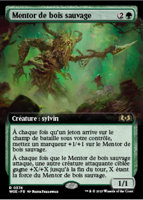 Mentor de bois sauvage