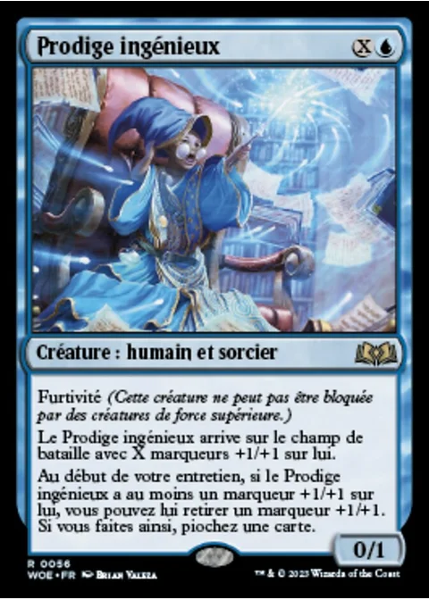 Prodige ingénieux