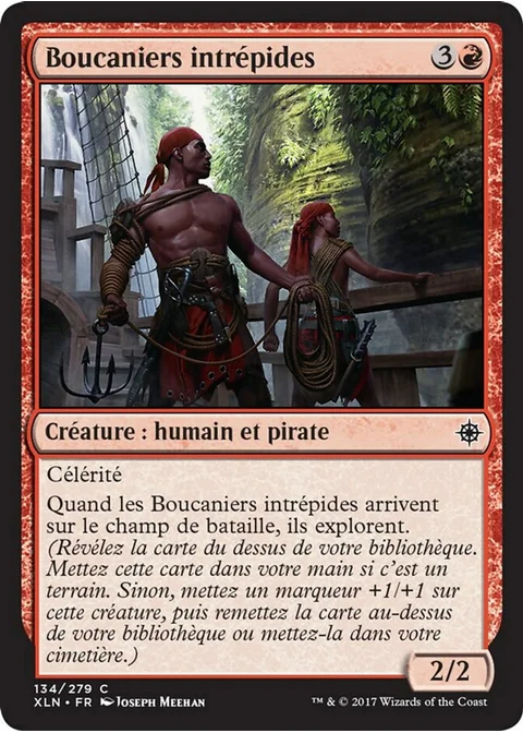 Boucaniers intrépides