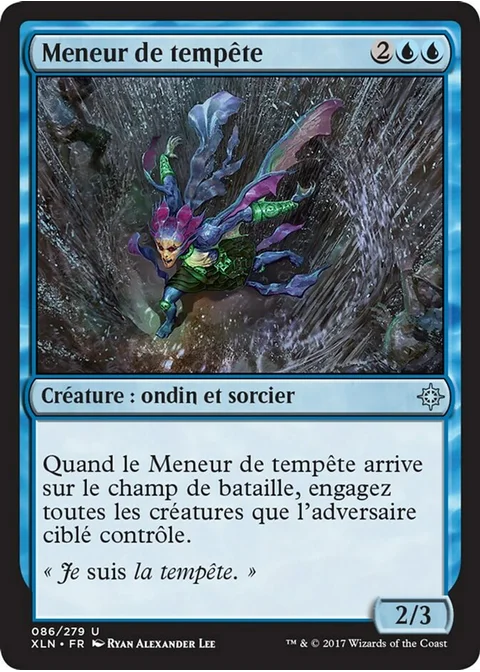 Meneur de tempête