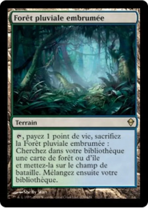 Forêt pluviale embrumée