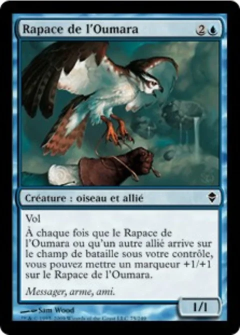 Rapace de l'Oumara