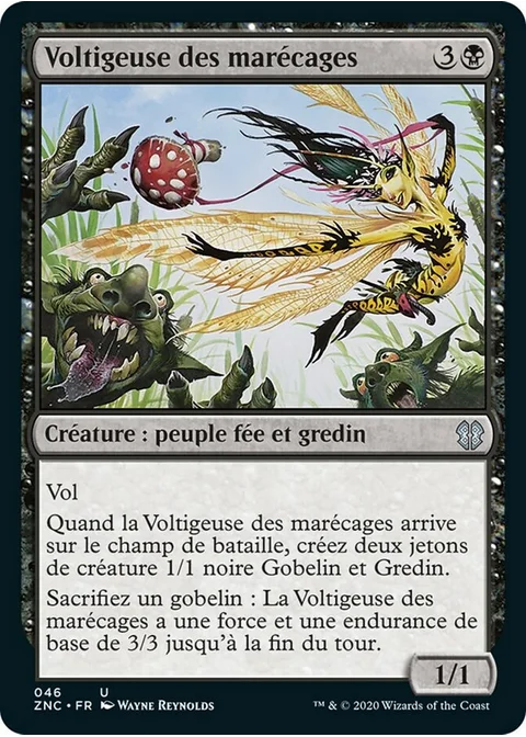 Voltigeuse des marécages