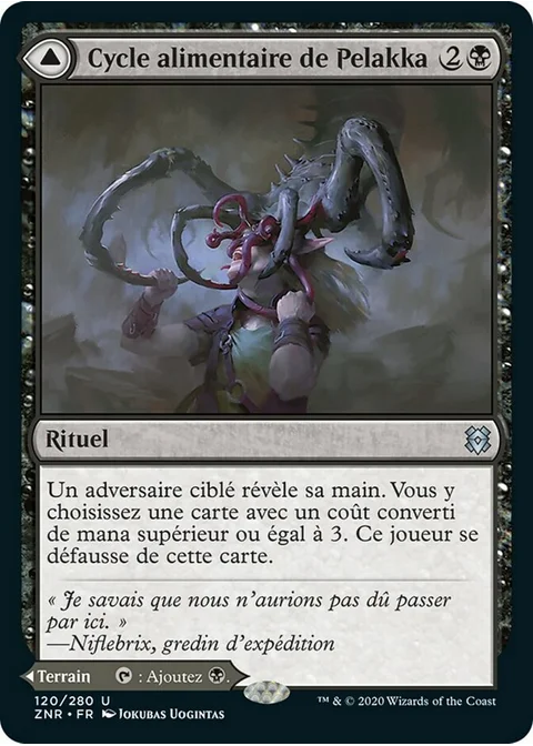 Cycle alimentaire de Pelakka