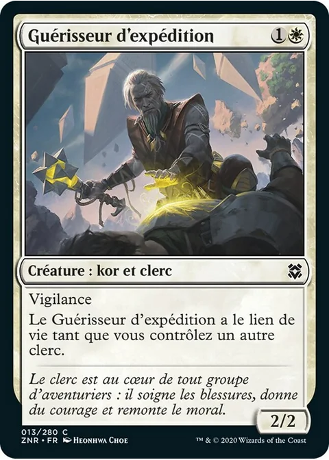 Guérisseur d'expédition