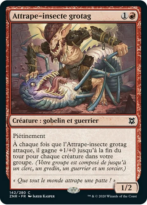 Attrape-insecte grotag