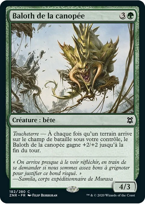 Baloth de la canopée