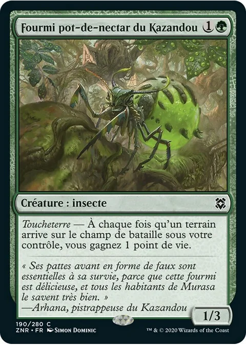 Fourmi pot-de-nectar du Kazandou