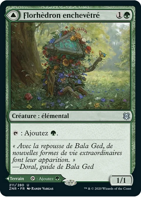 Florhèdron enchevêtré