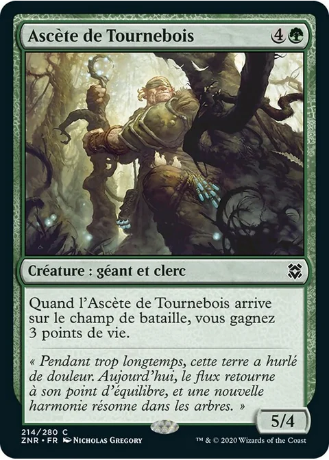 Ascète de Tournebois