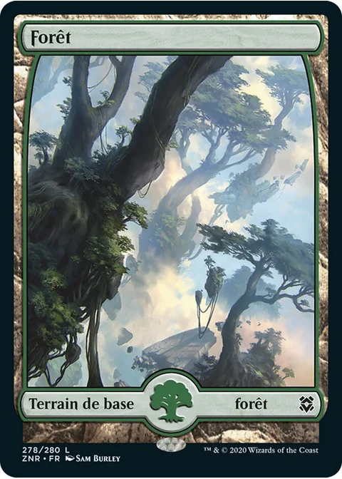 Forêt