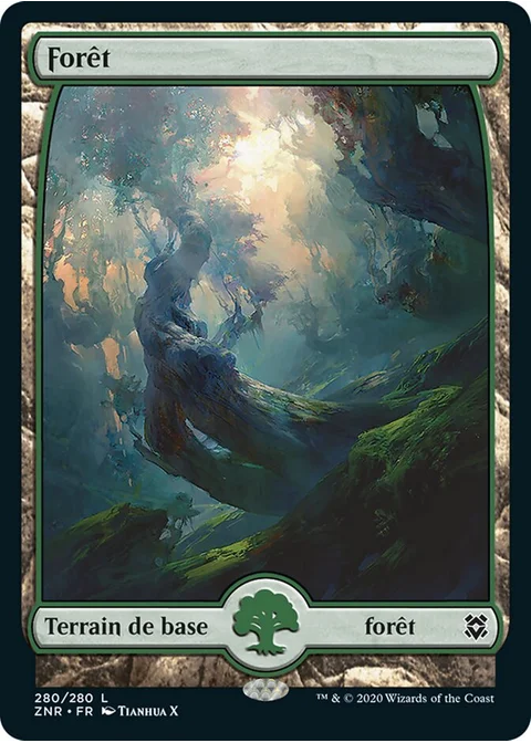 Forêt