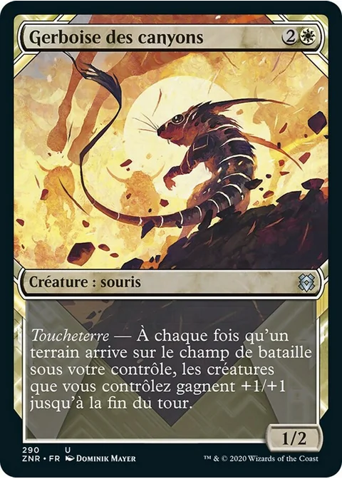 Gerboise des canyons