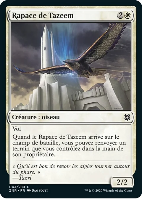 Rapace de Tazeem