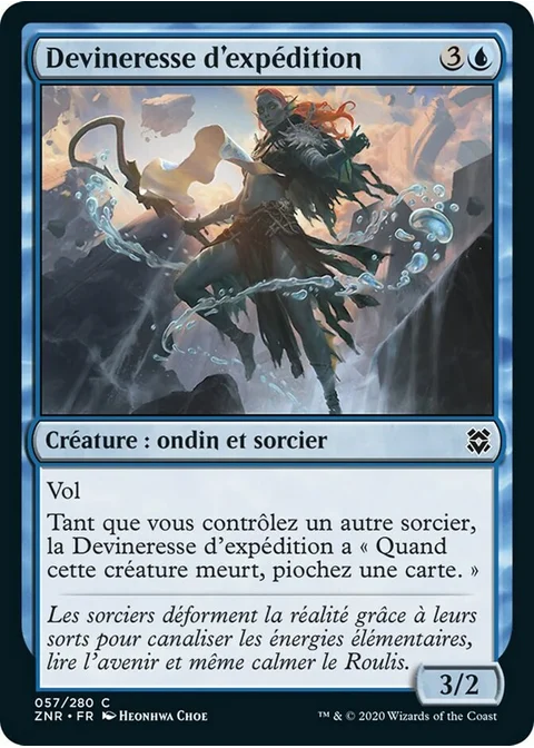 Devineresse d'expédition