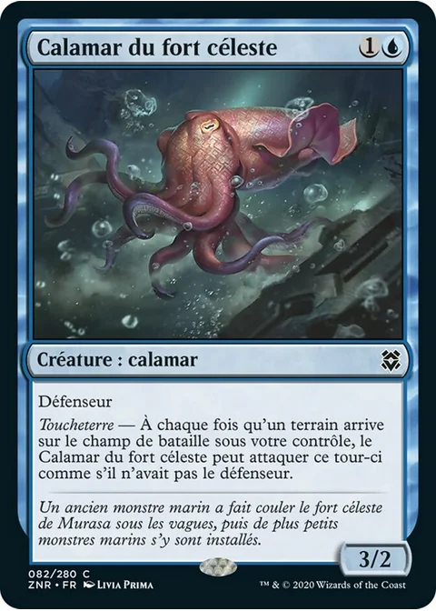 Calamar du fort céleste