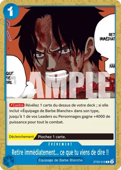 Retire Immediatement Ce Que Tu Viens De Dire