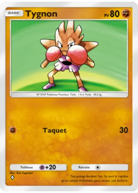 Tygnon