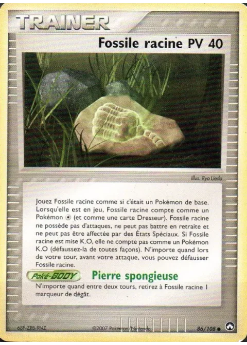 Fossile racine