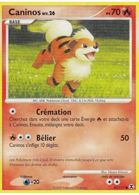 Caninos Niv. 26
