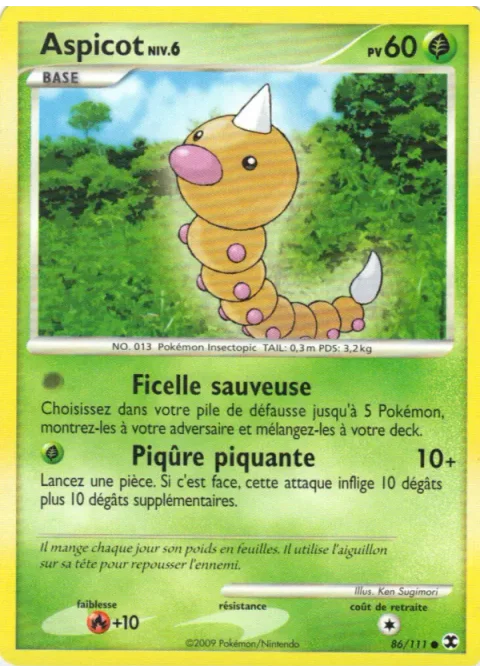 Aspicot Niv. 6