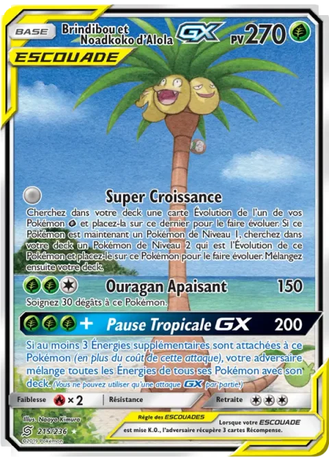 Brindibou et Noadkoko d’Alola GX