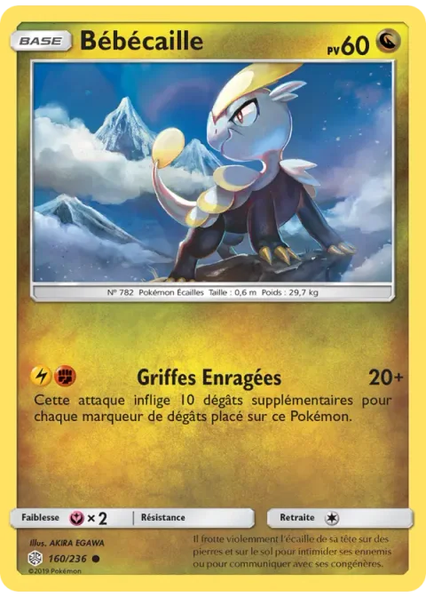 Bébécaille