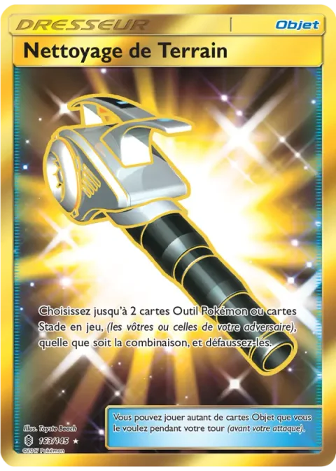 Nettoyage de Terrain