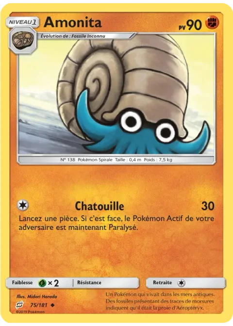 Amonita