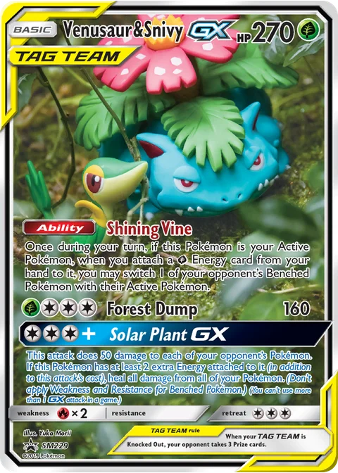Florizarre et Vipélierre GX