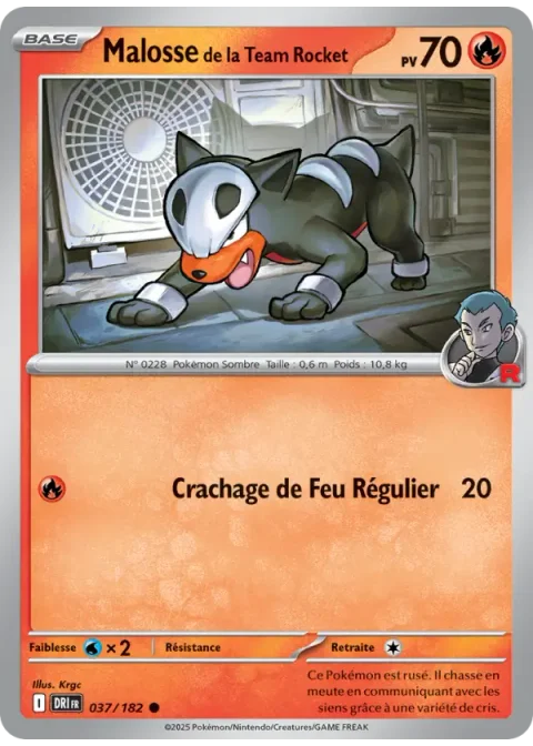 Malosse de la Team Rocket