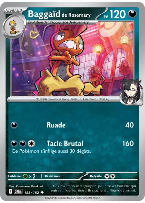 Baggaïd de Rosemary