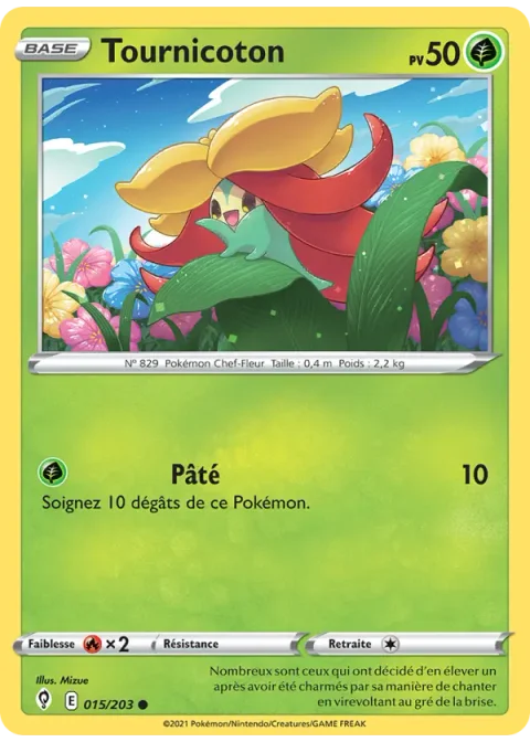 Tournicoton