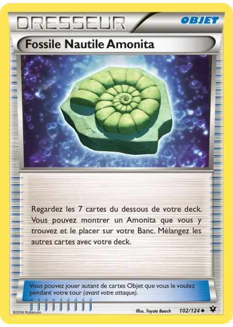 Fossile Nautile Amonita