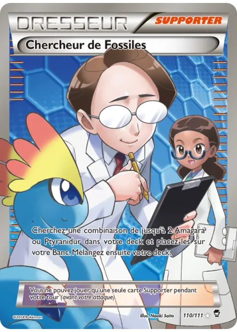 Chercheur de Fossiles